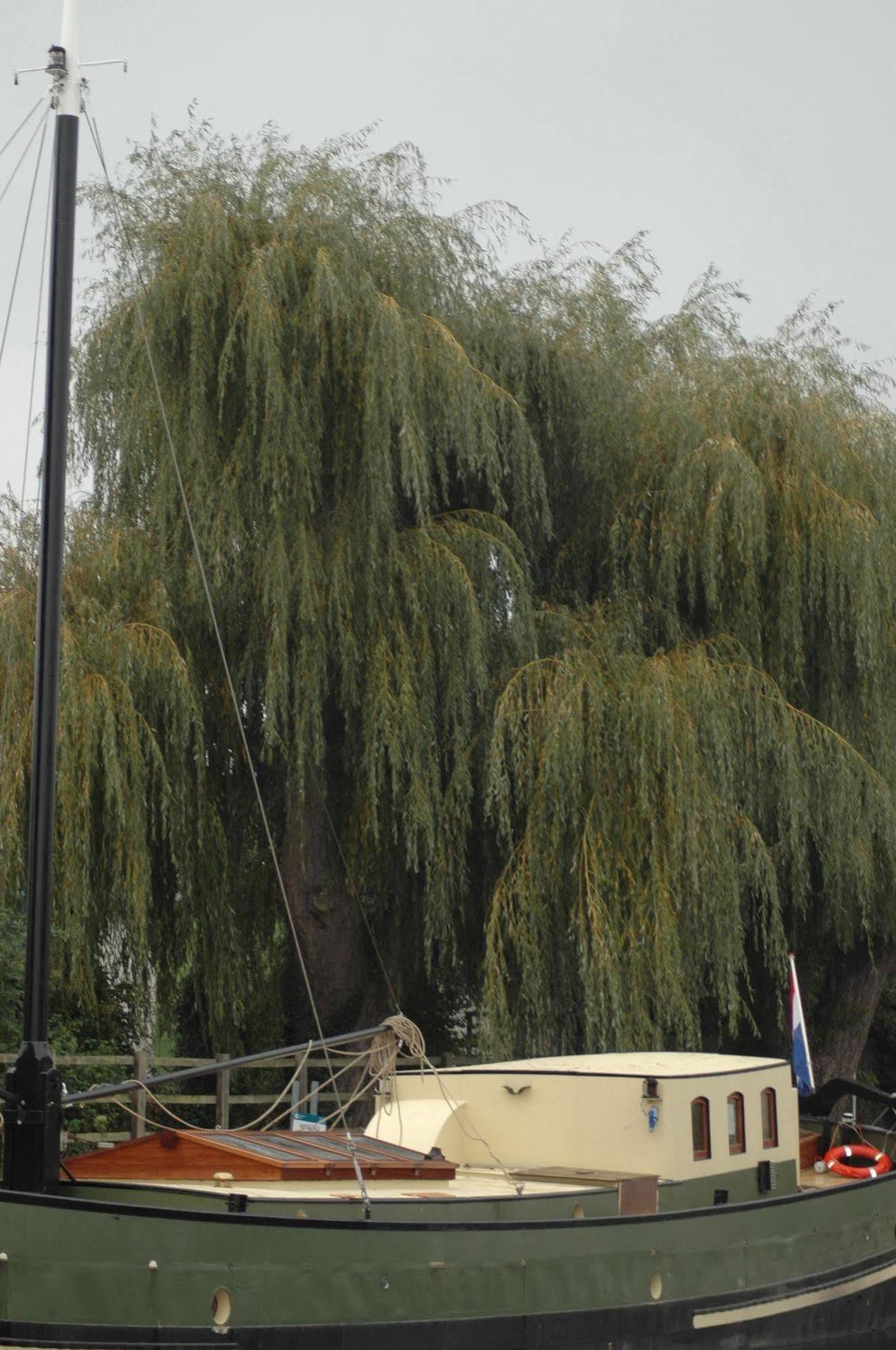 Hotel Barge Waternimf Ely Exterior photo